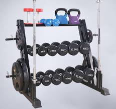 Multipurpose Dumbbell Rack